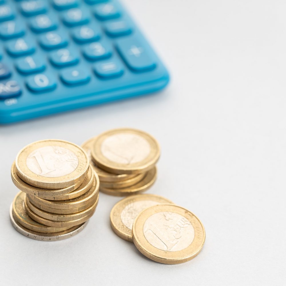 Tax, finance, economy, investment on Euro concept